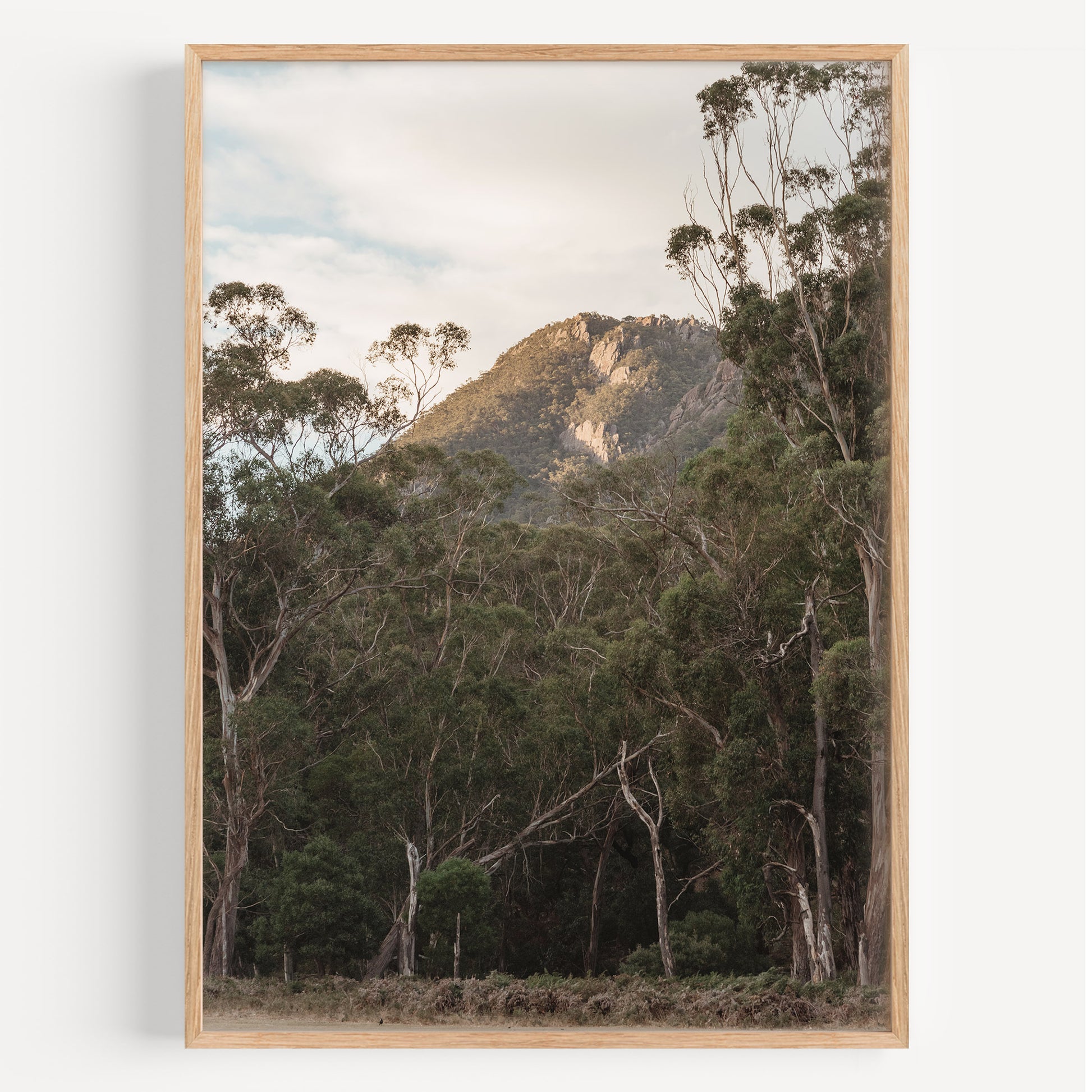Grampians Peak-ing through