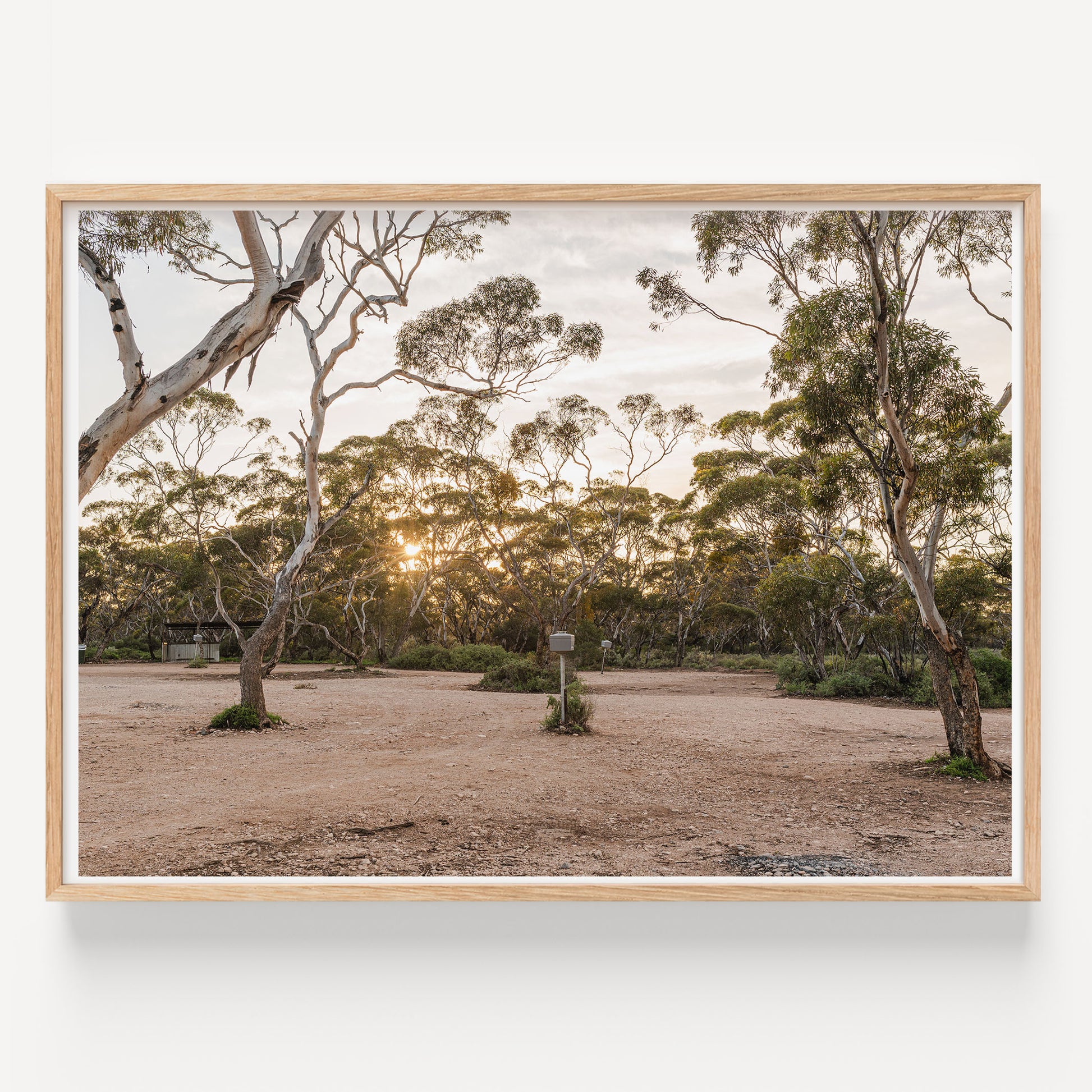 Nullarbor Sunrise