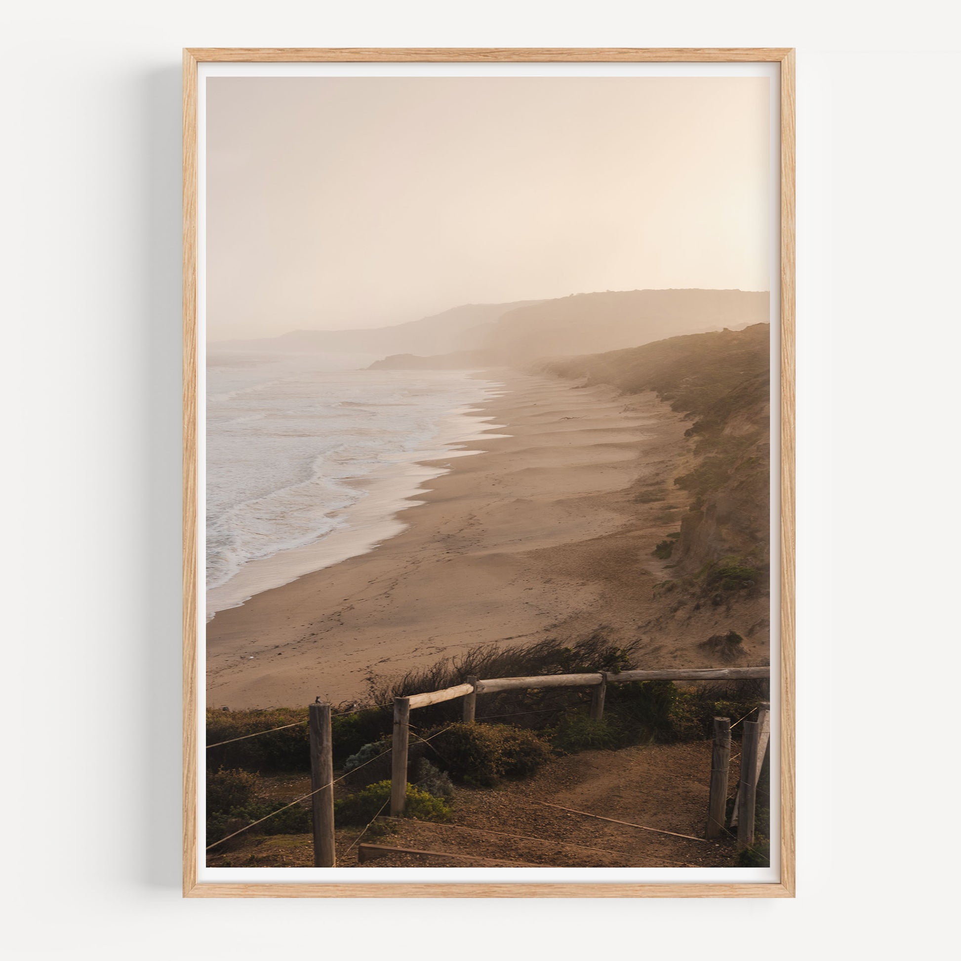Point Addis Golden Glow