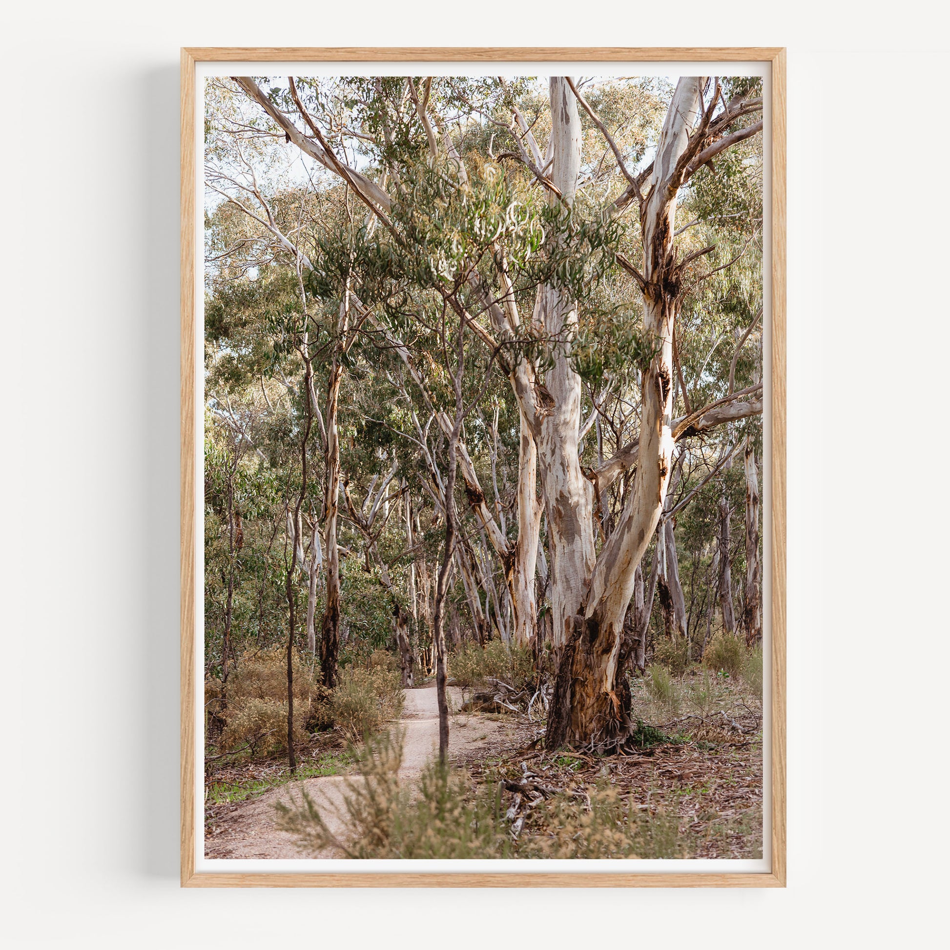 You Yangs MTB Trail Print