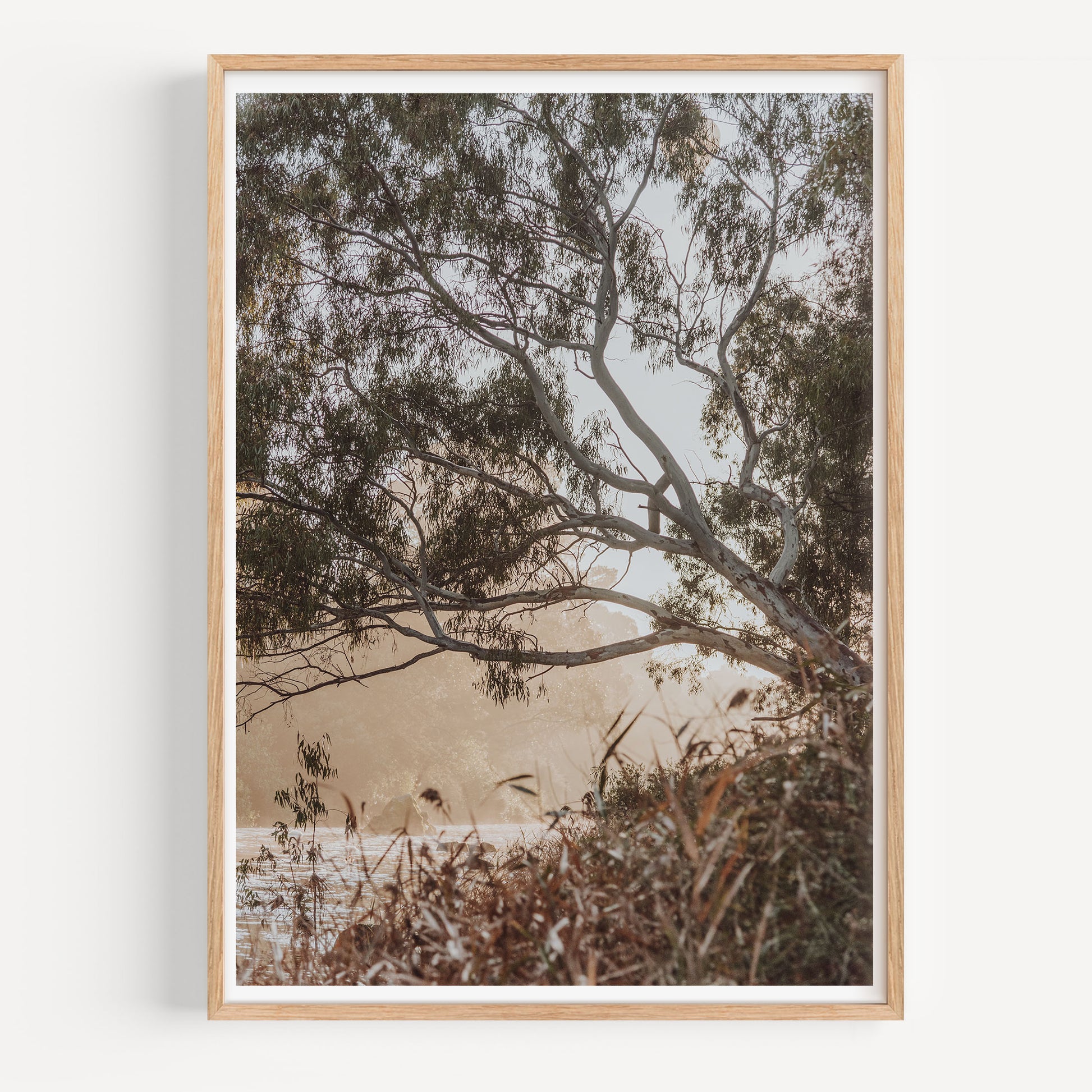 Foggy Barwon River Sunrise Print