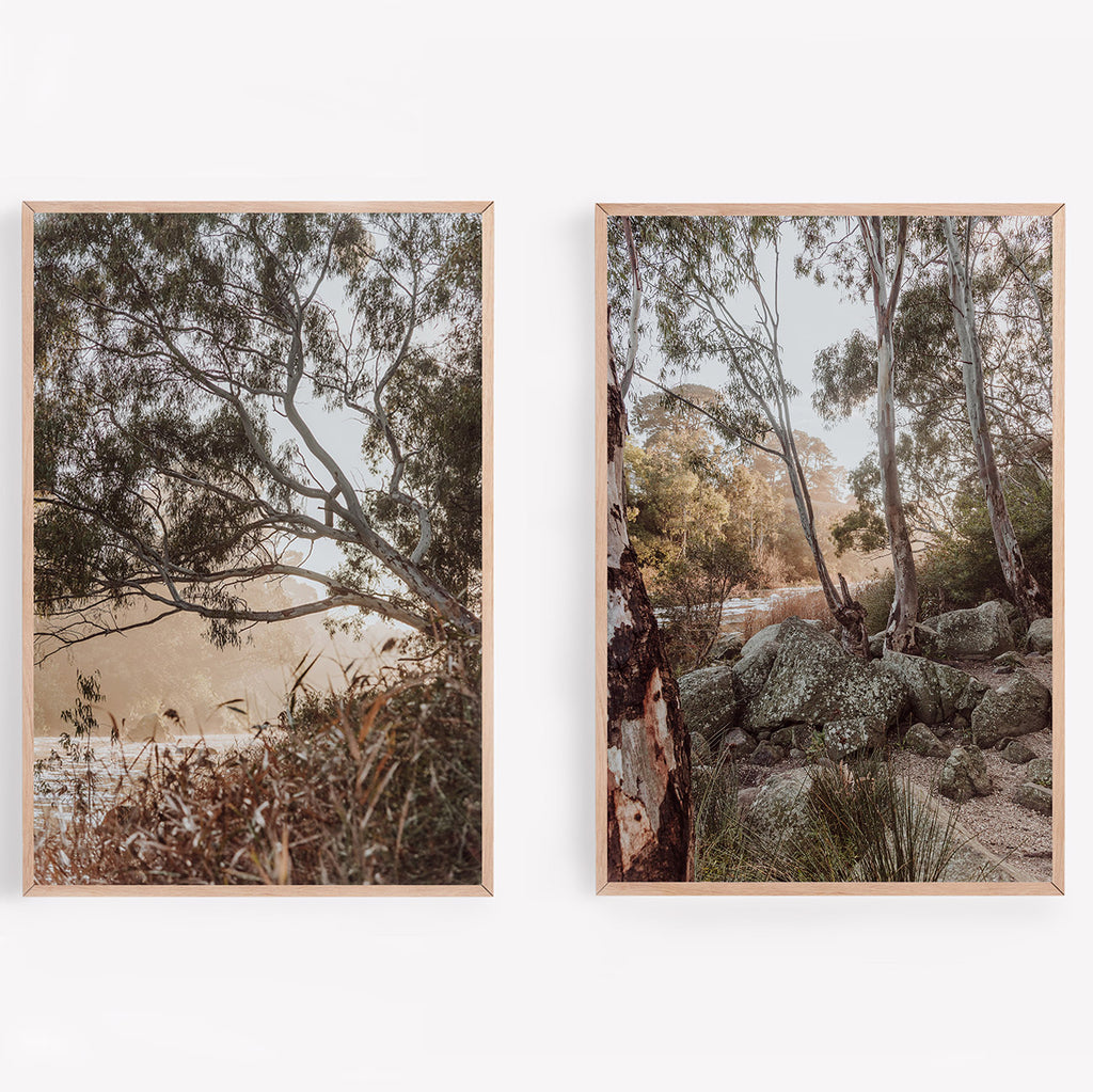 Foggy Barwon River Sunrise Print