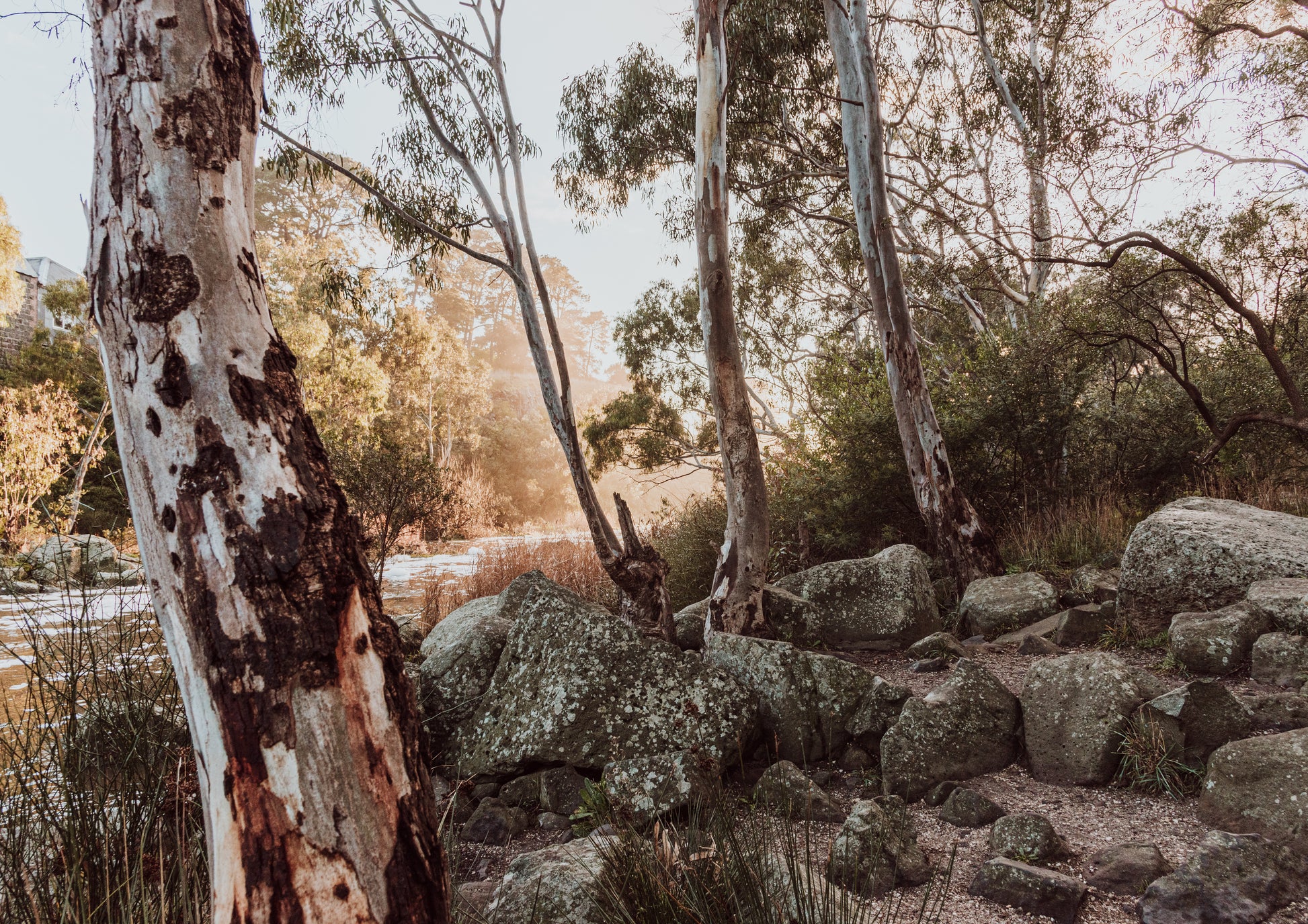 Barwon River Rocks