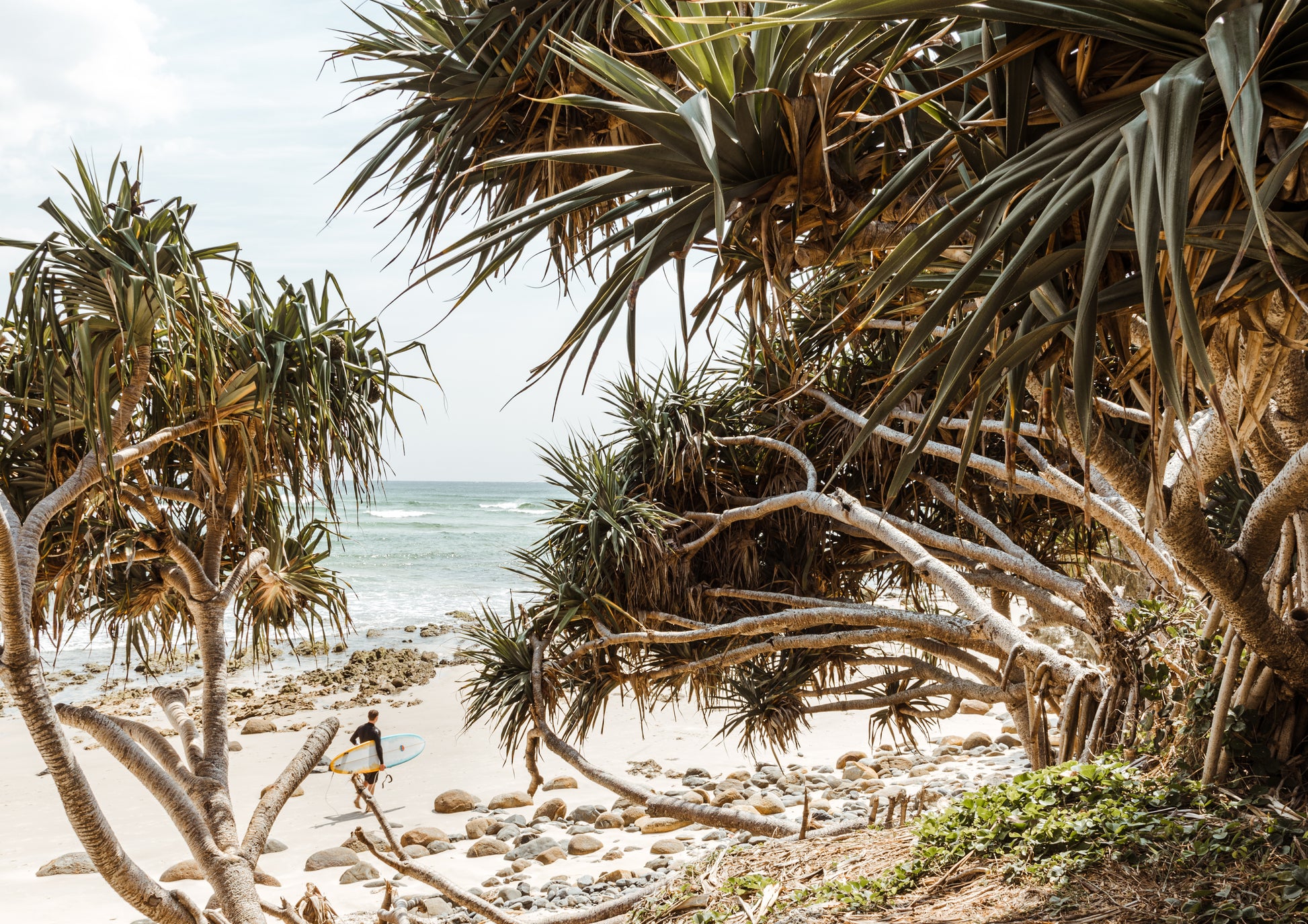 Byron Bay Days