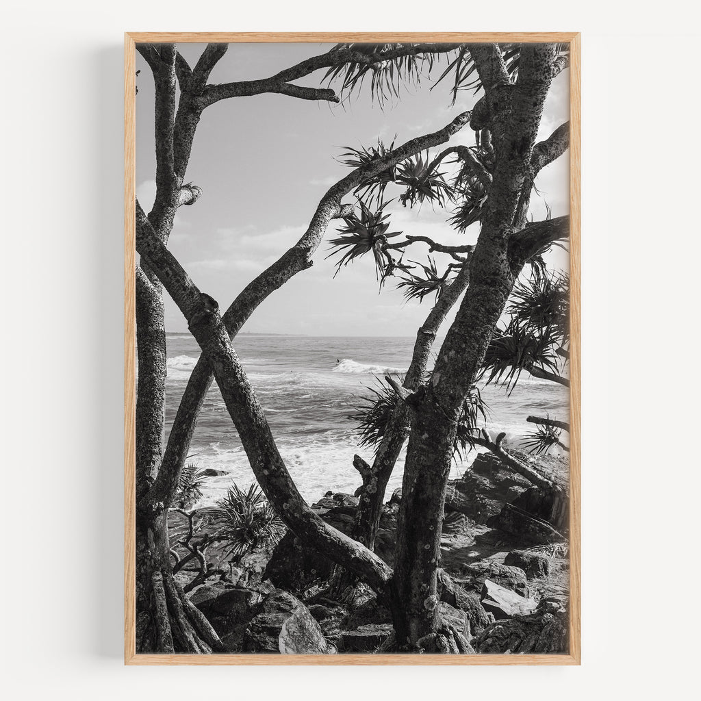 Cabarita through the Pandanus