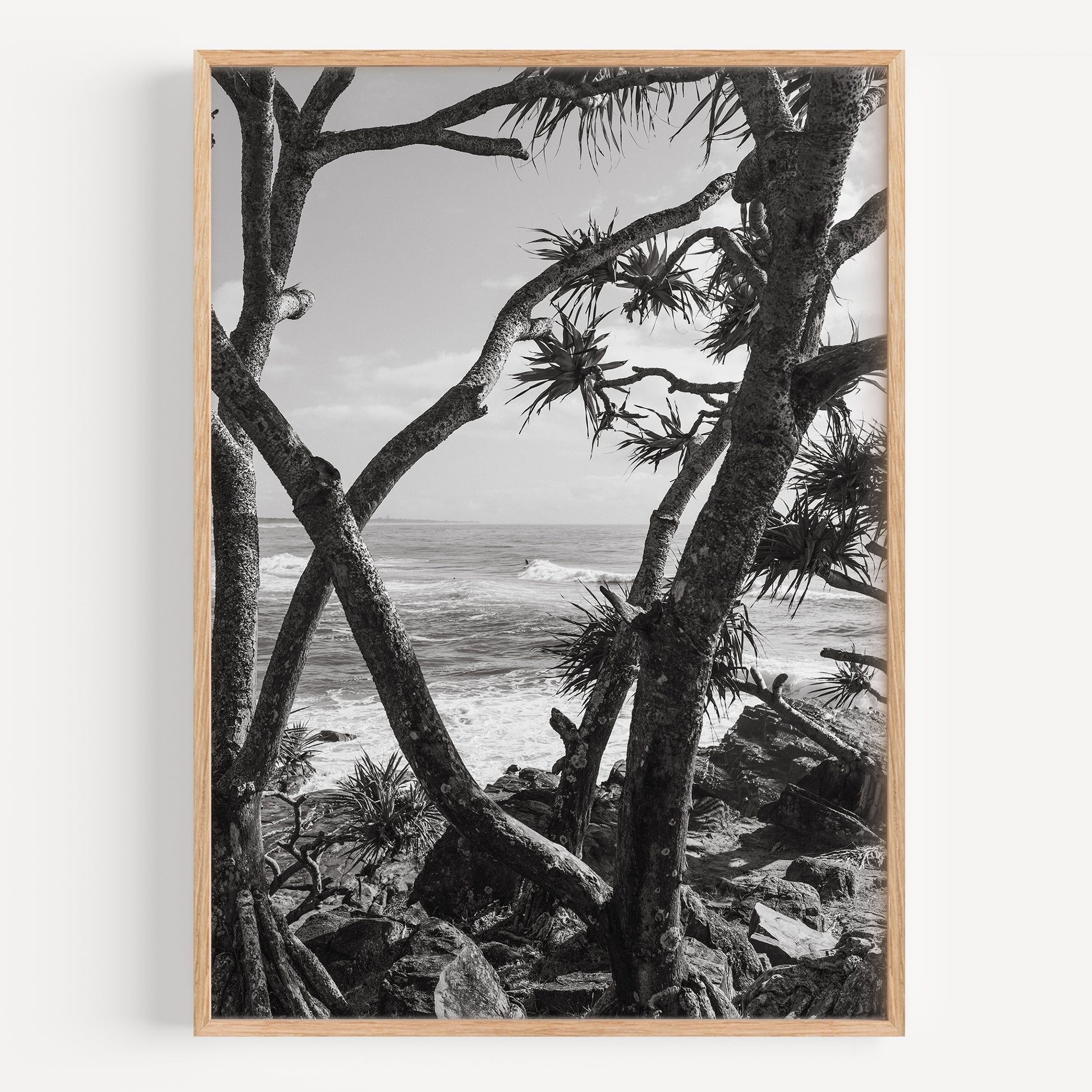 Cabarita through the Pandanus