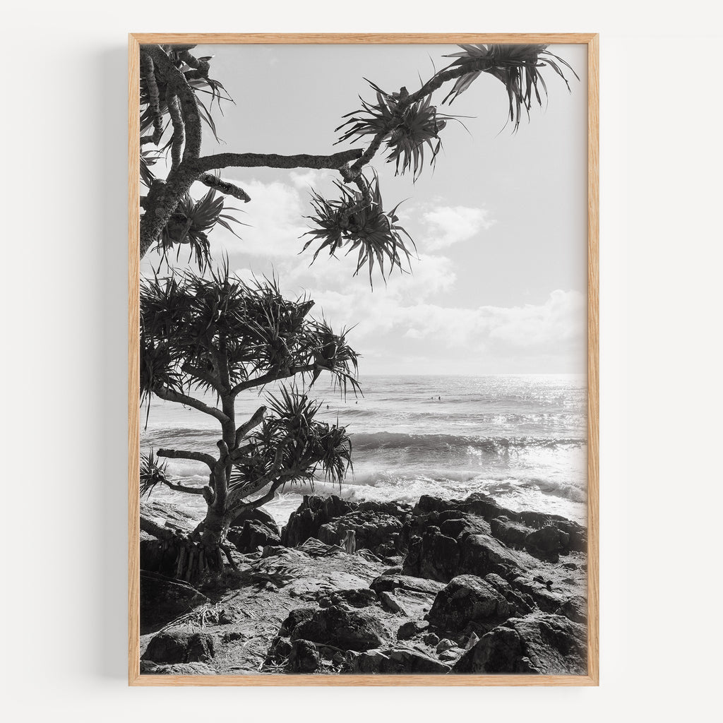 Cabarita Pandanus