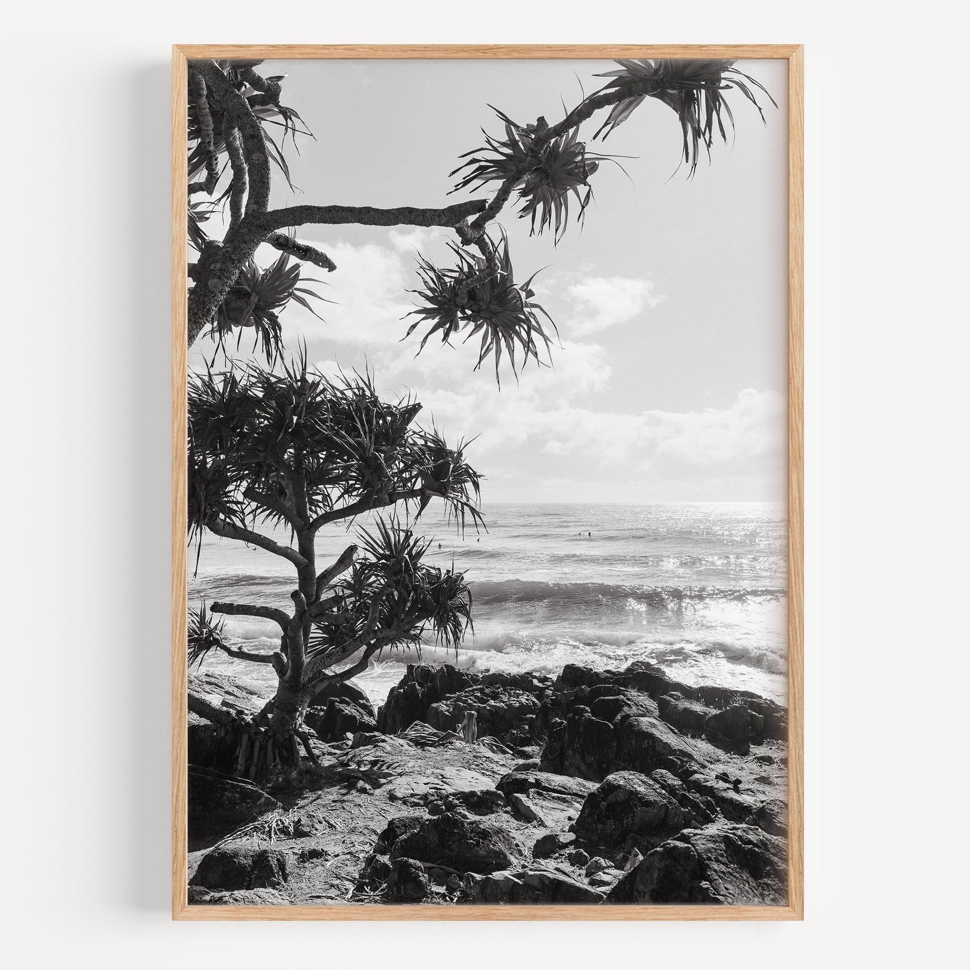 Cabarita Pandanus