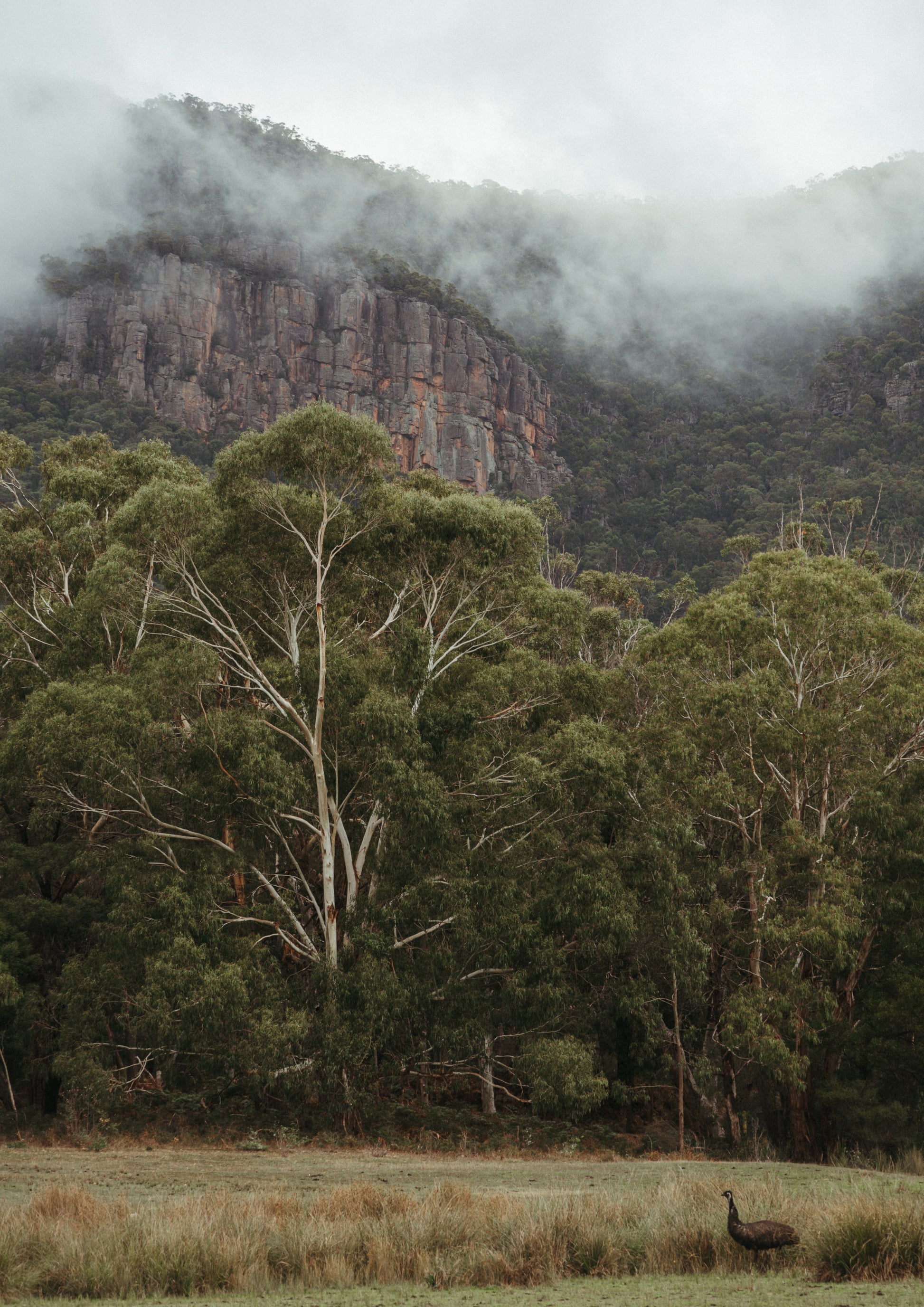 Foggy Grampians Morning Print