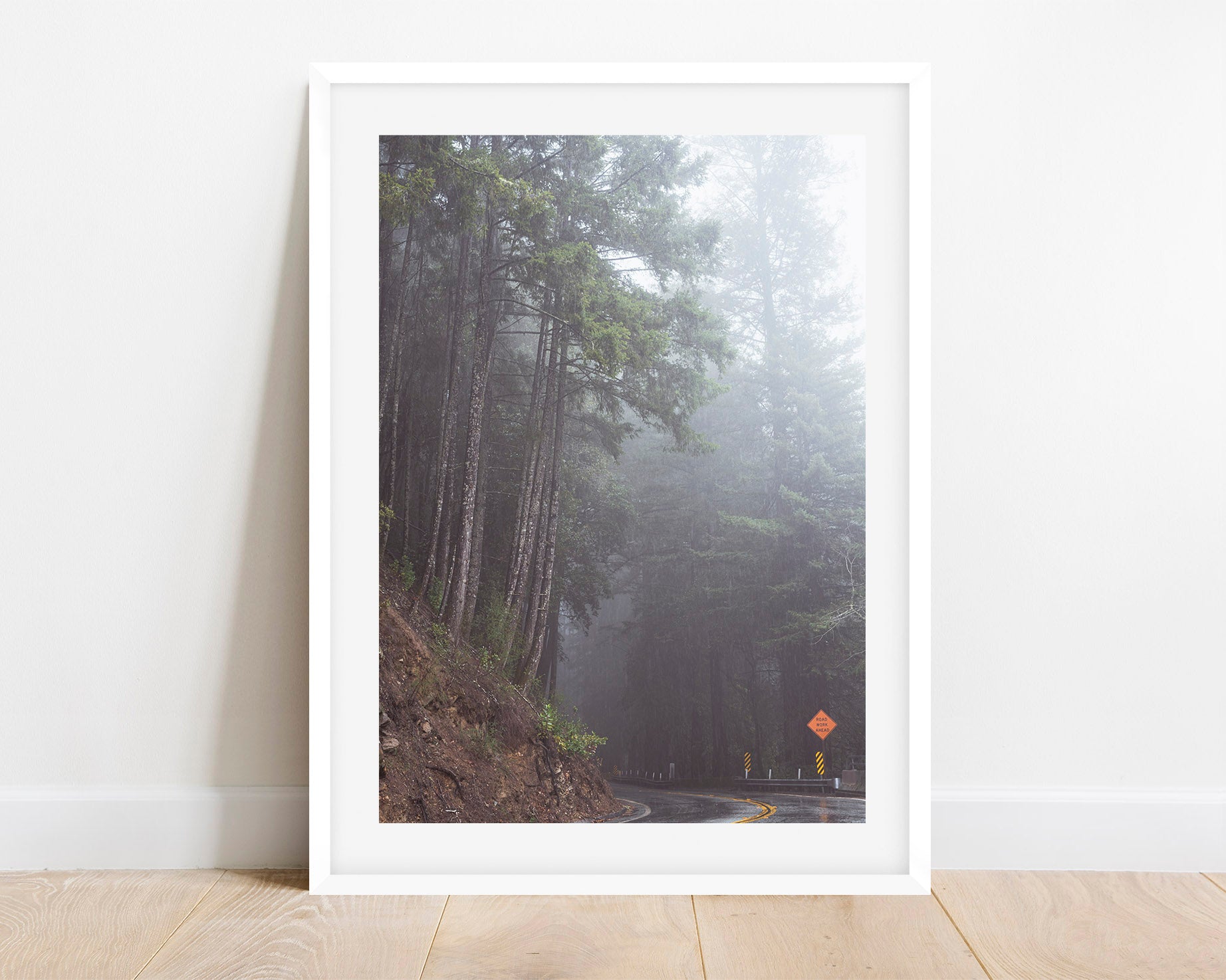 Foggy California Redwoods