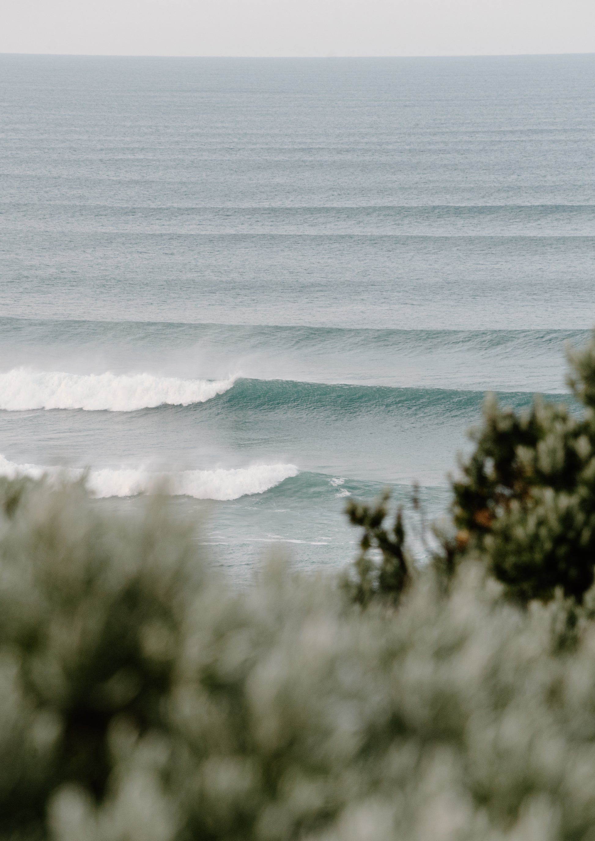 Gibson Steps Surf