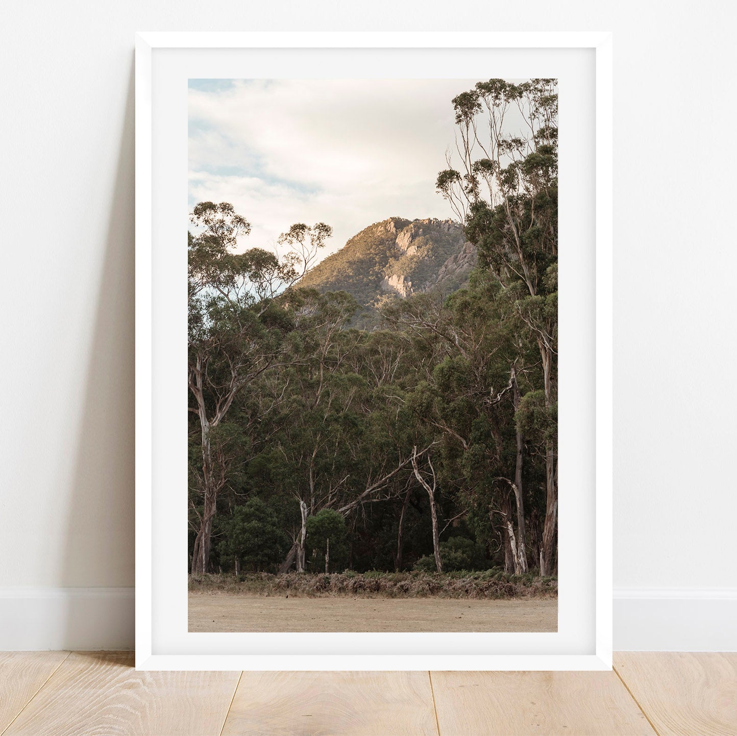 Grampians Peak-ing through