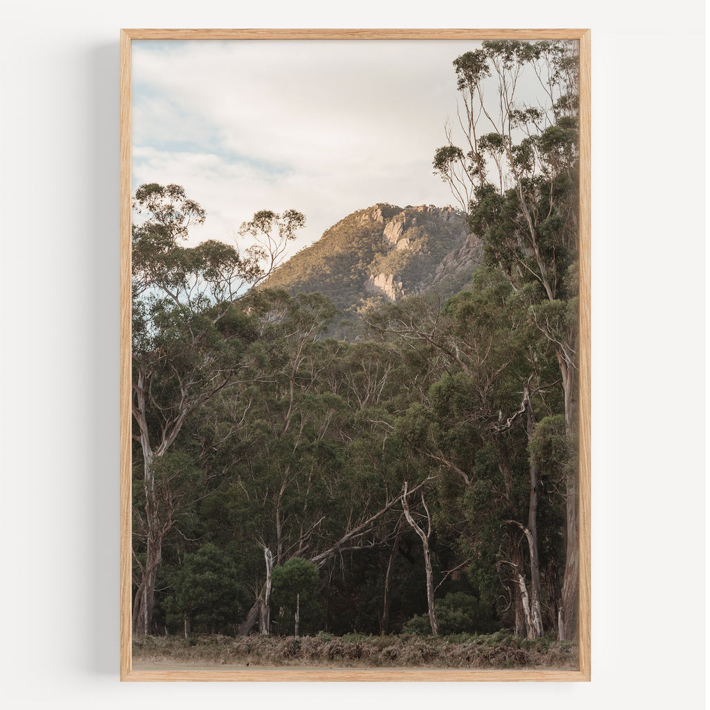 Grampians Peak-ing through