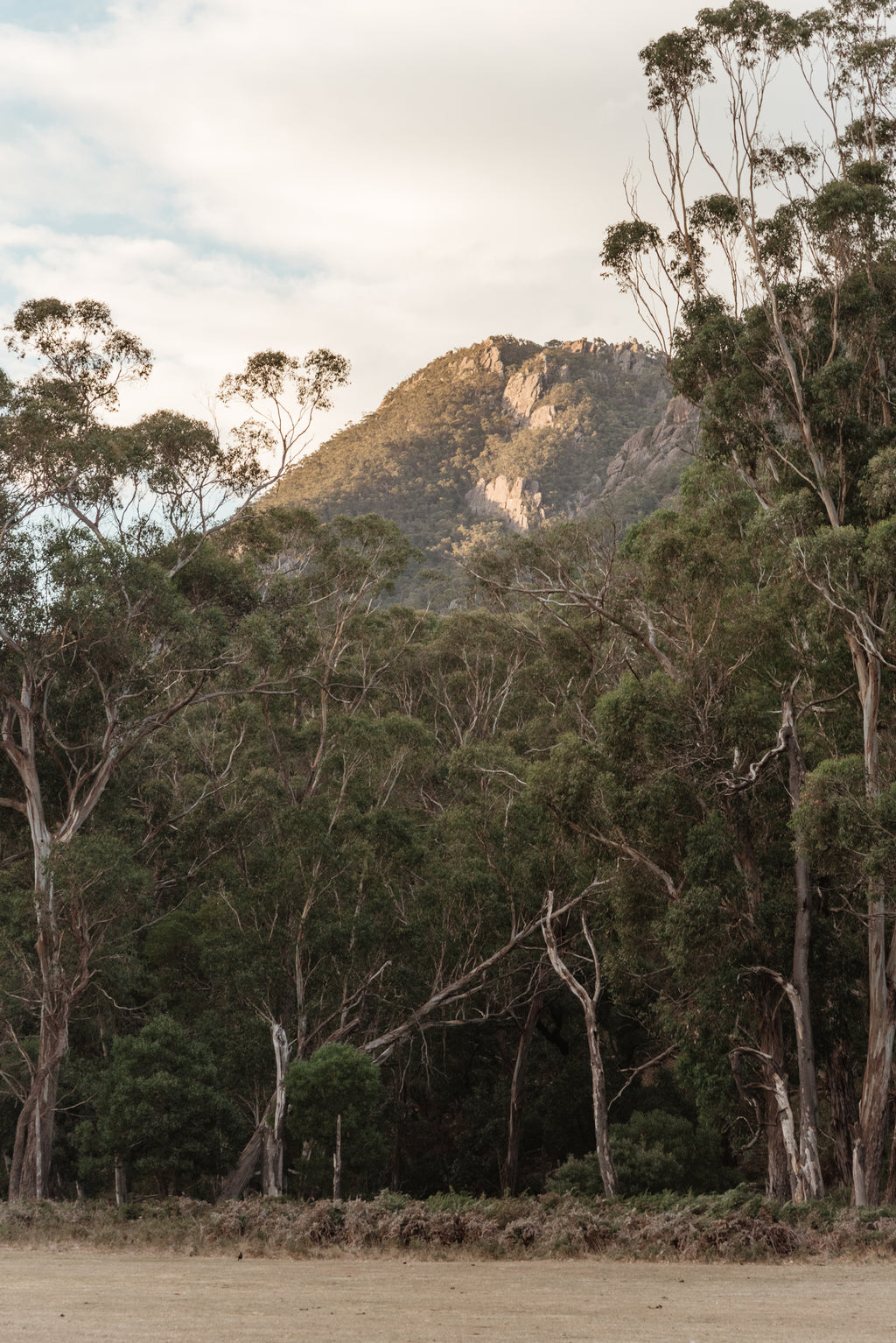 Grampians Peak-ing through