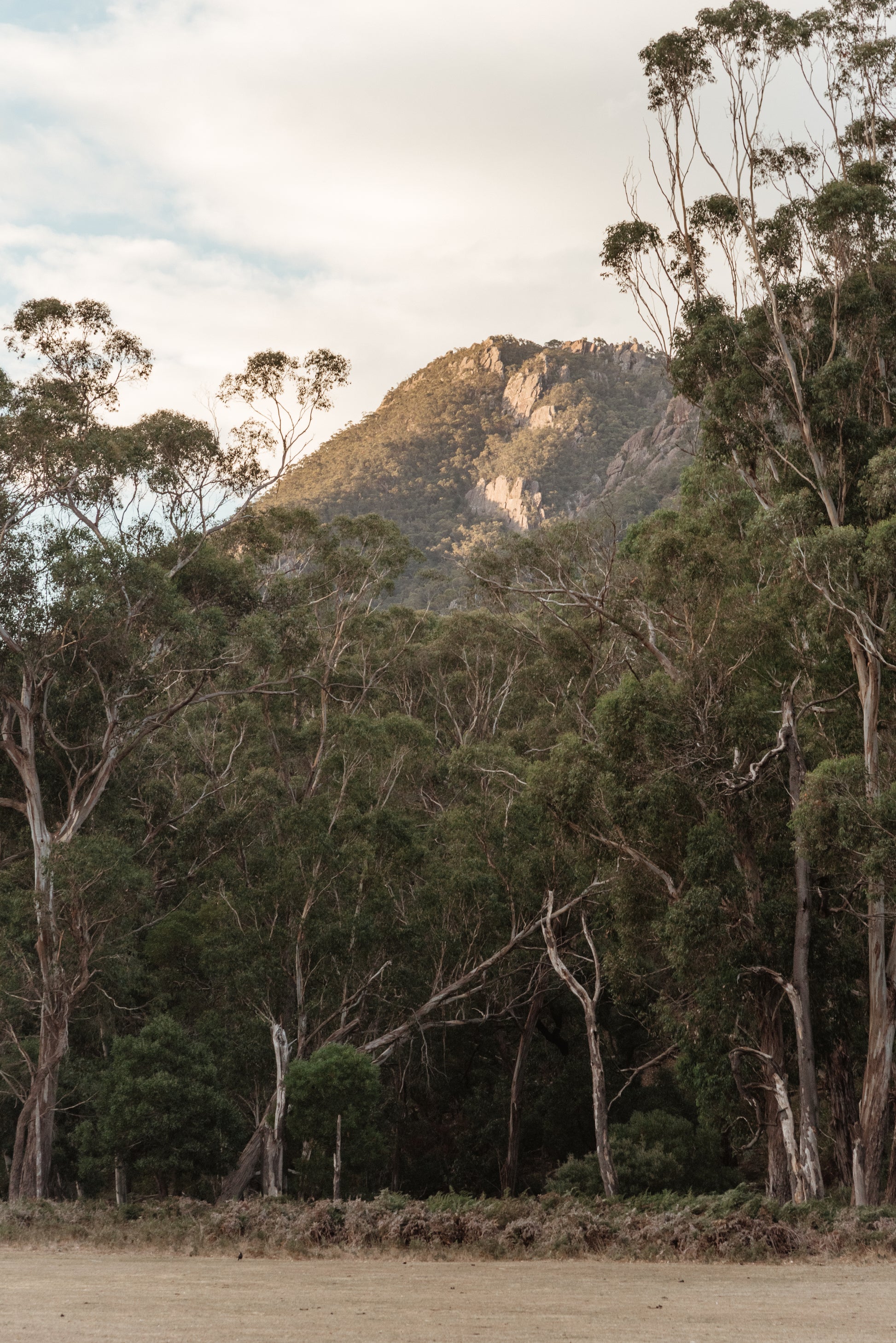 Grampians Peak-ing through