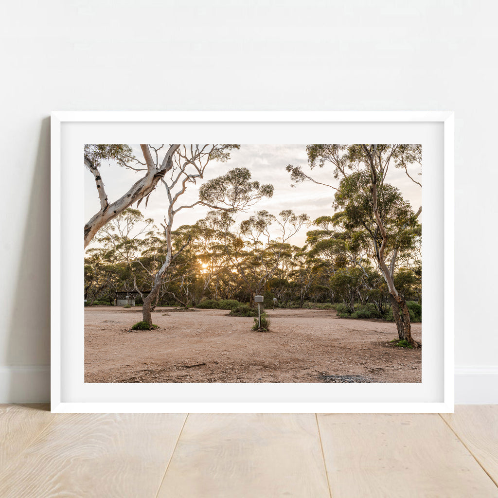 Nullarbor Sunrise