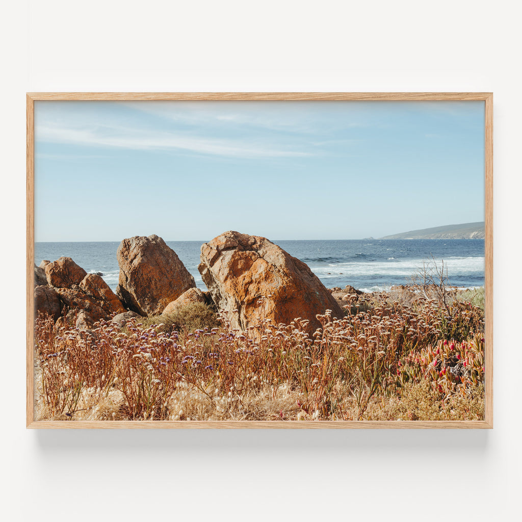 Yallingup Wildflowers Landscape
