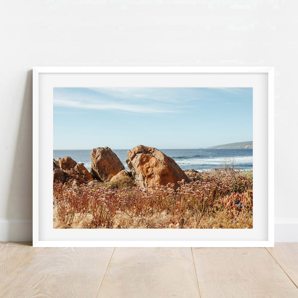 Yallingup Wildflowers Landscape