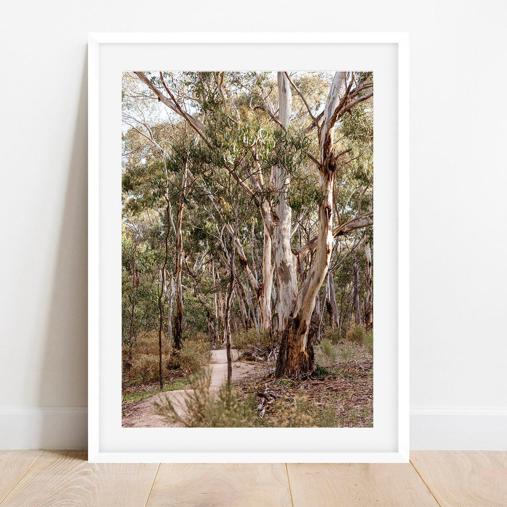 You Yangs MTB Trail Print