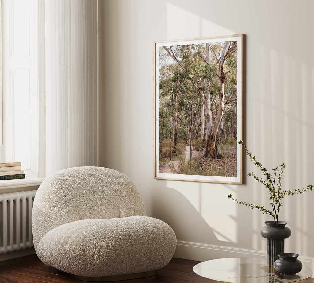 You Yangs MTB Trail Print