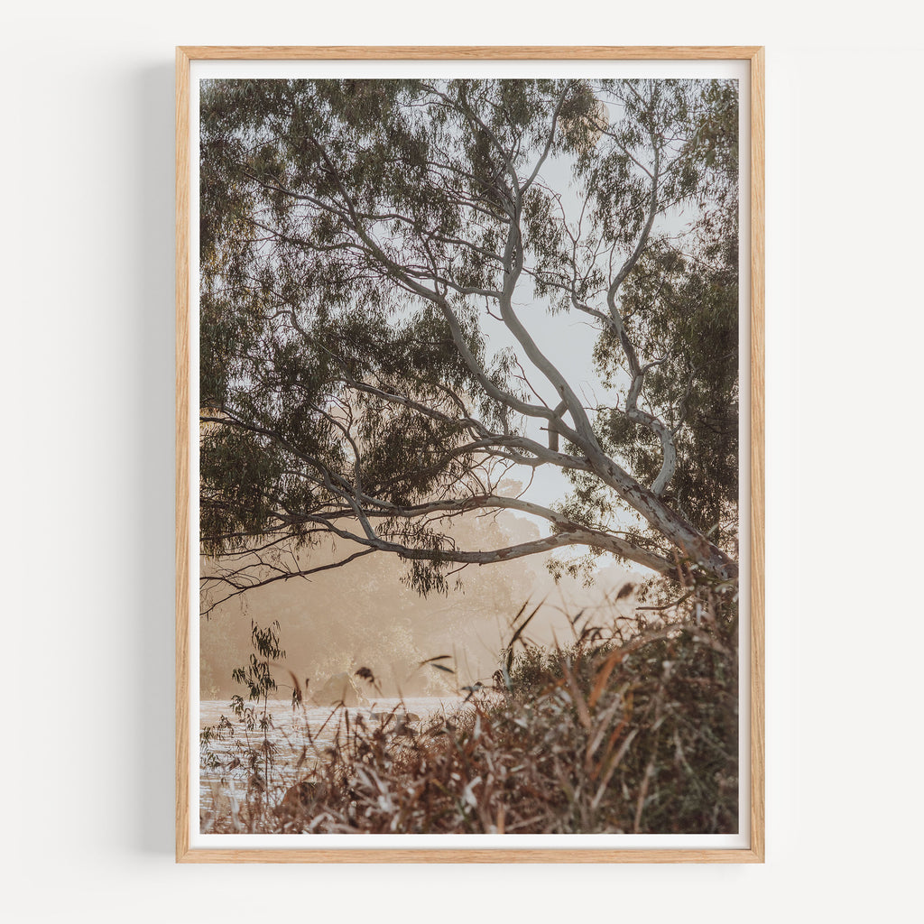Foggy Barwon River Sunrise Print