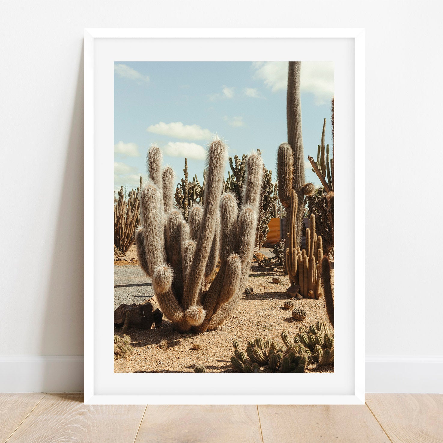 Furry Cactus