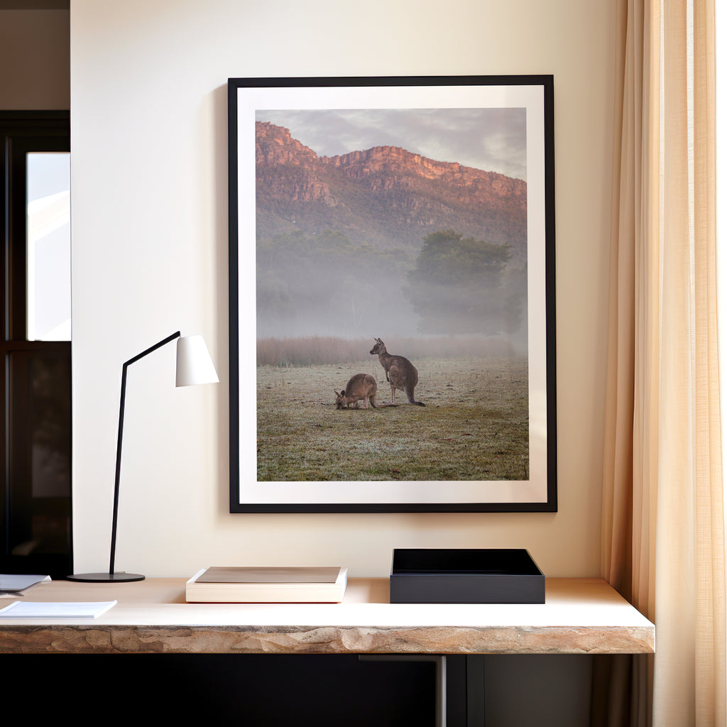 Halls Gap Kangaroos