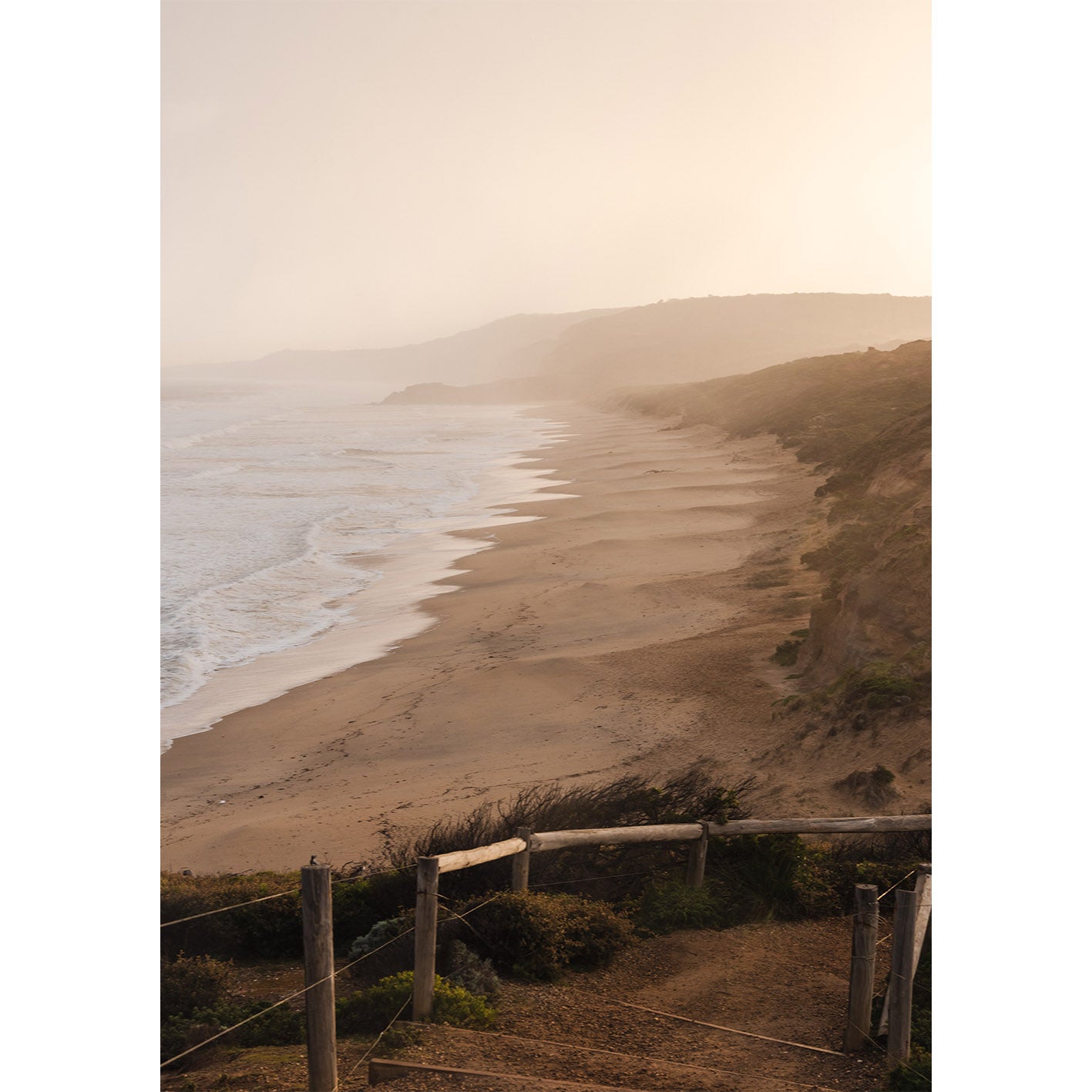 Point Addis Golden Glow