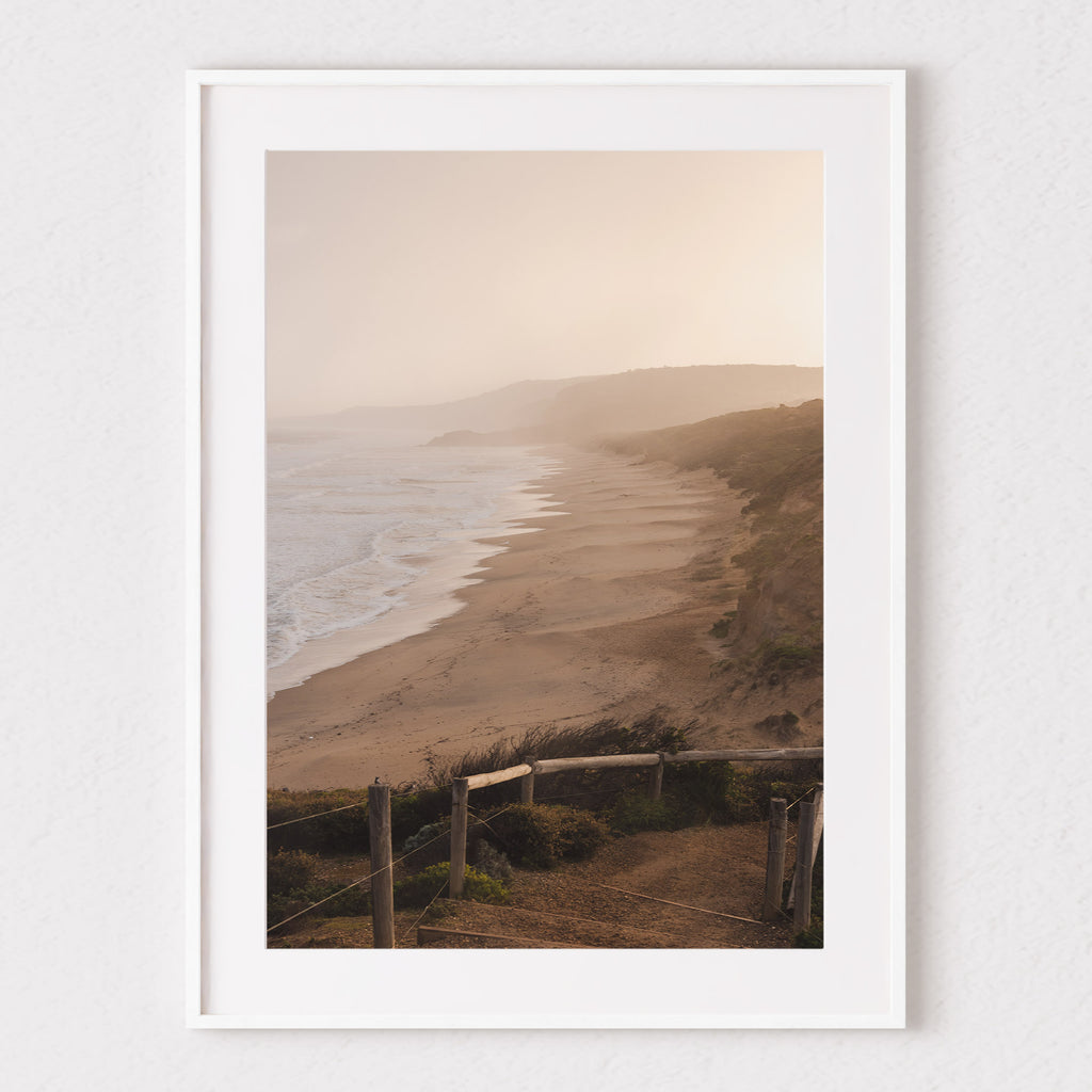 Point Addis Golden Glow