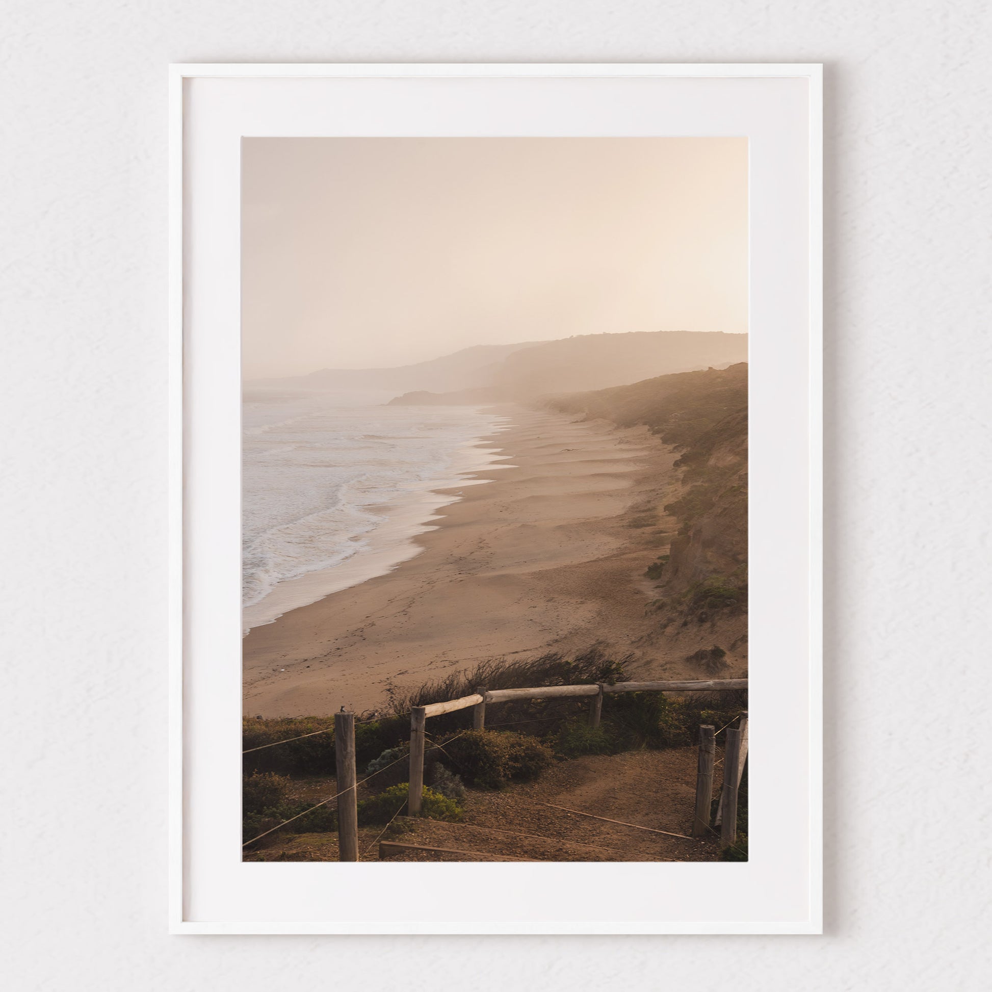 Point Addis Golden Glow